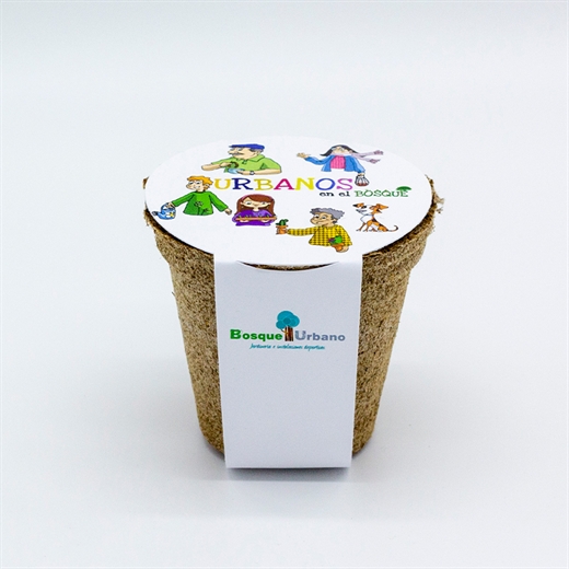 Maceta personalizada | Núcleo de ideas